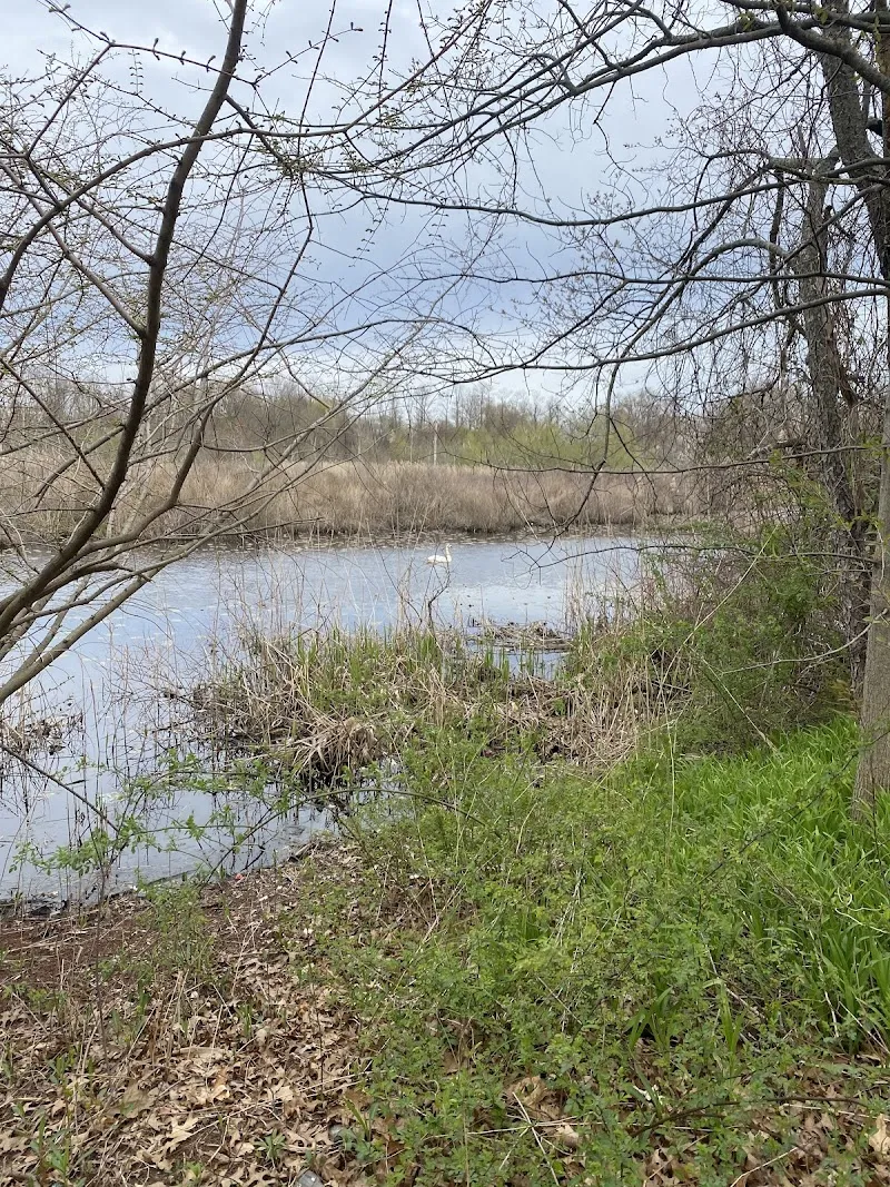 Oxford House Moon Park - Photo 1