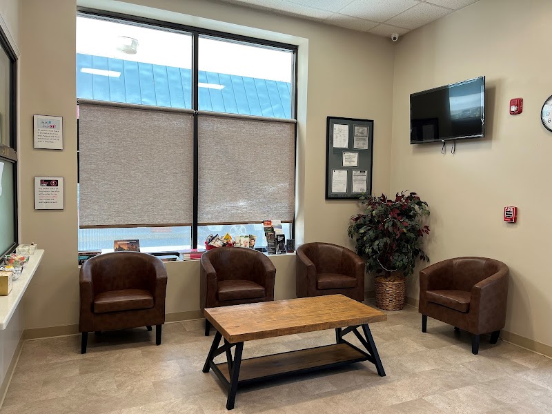 Elm Tree Clinic - Foto 4